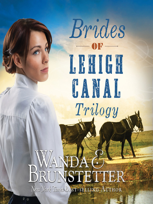 Title details for Brides of Lehigh Canal Trilogy by Wanda E Brunstetter - Available